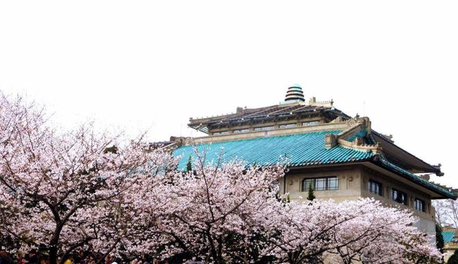 观黄鹤楼、湖北省博物馆春假爆款武汉名校夏令营开启报名J9国际网站狮子精品夏令营 探访武汉大学、华中科大参(图3)