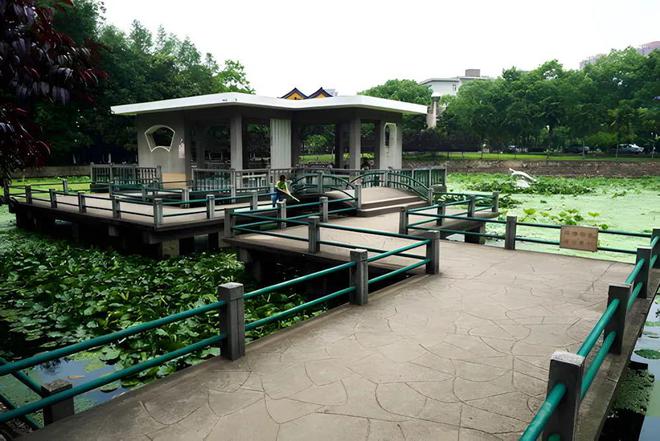 观黄鹤楼、湖北省博物馆春假爆款武汉名校夏令营开启报名J9国际网站狮子精品夏令营 探访武汉大学、华中科大参(图12)