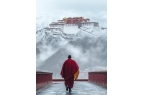 式西藏旅游7天6夜人文摄影独家路线不踩坑